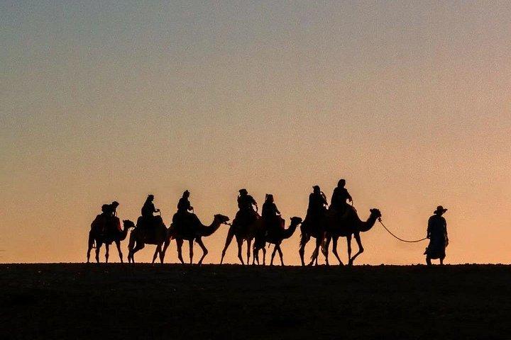 Marrakech: Quad Bike and Camel Ride and Dinner & Sunset, Fireshow
