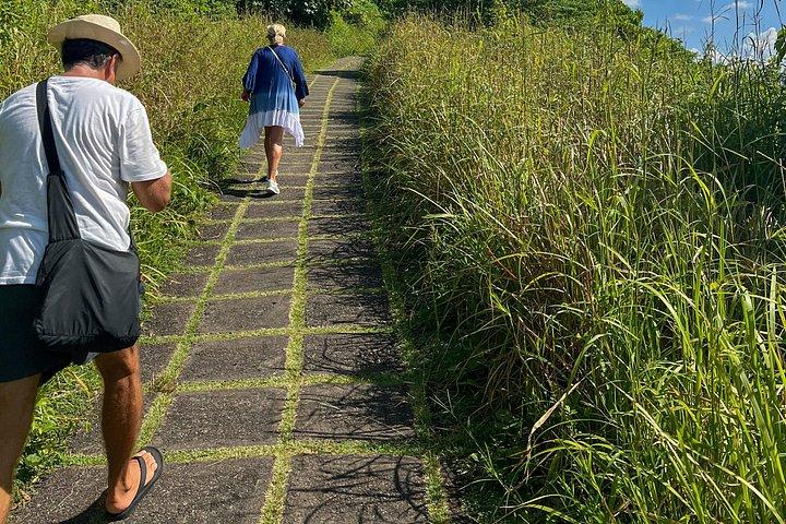 ウブド日の出：キャンプハン嶺セルフガイドウォーキングツアー