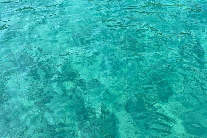 Experience Zadar Archipelago with Antares sailing shared tour