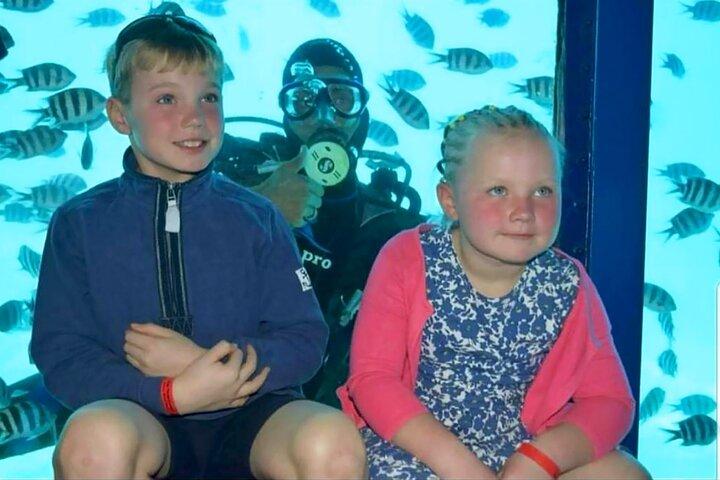 Semi-ubåd 2 - timer snorkling med Transfer fra Hurghada