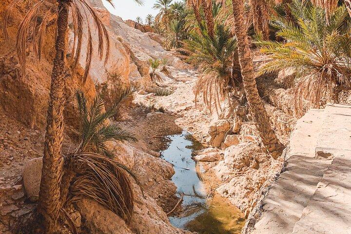 Tour di un giorno intero a Tamerza, Chebika, Mides Canyons e Star Wars