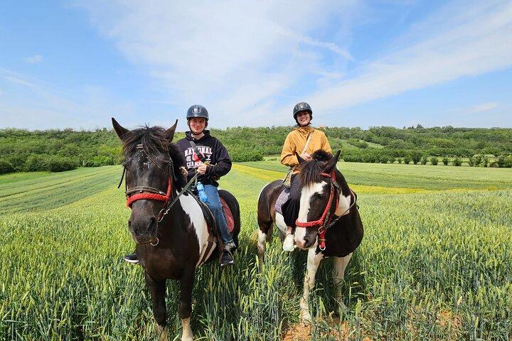 Horseback Trail Riding - Private Tour from Belgrade, Small Group