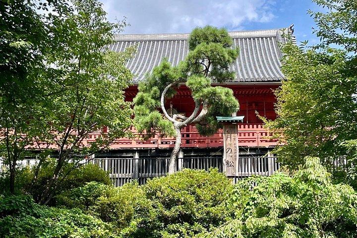 上野公園＆東京国立博物館プライベートツアー（浮世絵フォーカス）
