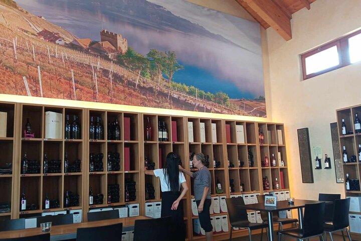 Swiss Vineyard vinsmagningstur i Vaud
