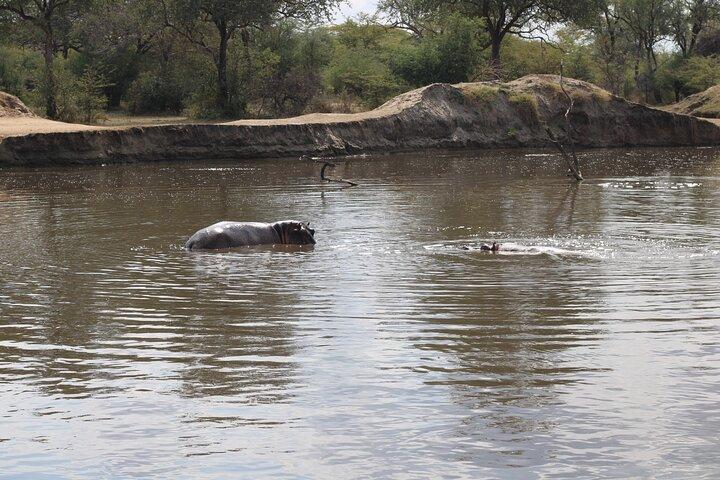 4-daagse privétour naar Mikumi en Nyerere National Park