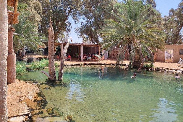 Private Day Trip to Ksar Ghilane with Lunch