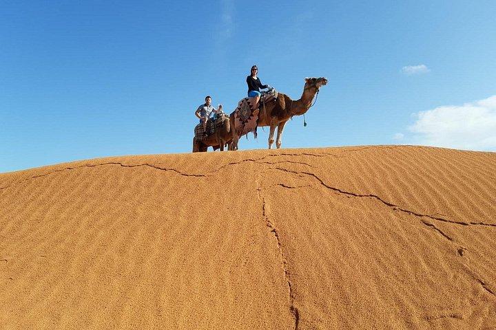 Private Day Trip to Ksar Ghilane with Lunch