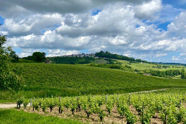 Éco Circuit à la Découverte du Sancerrois