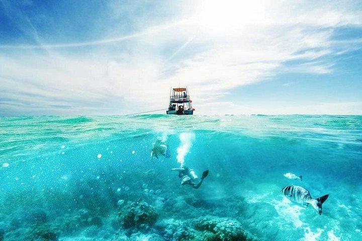 From Sharm: Full day introduction to Scuba Diving with Lunch