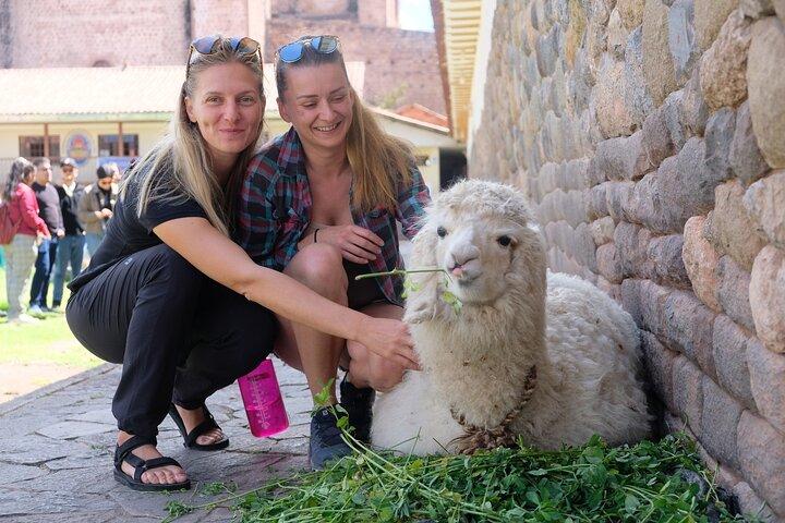 Scopri Cusco con tour guidato a piedi