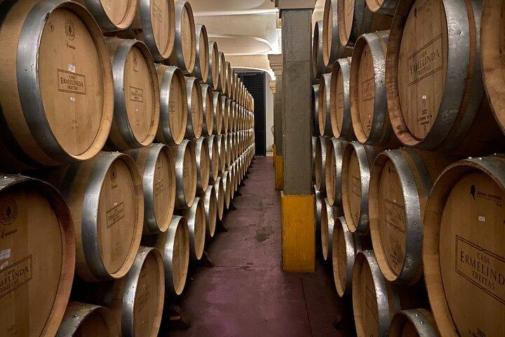 Lisbon Southern Region (Fernão Pó) Wine Tasting Private Tour