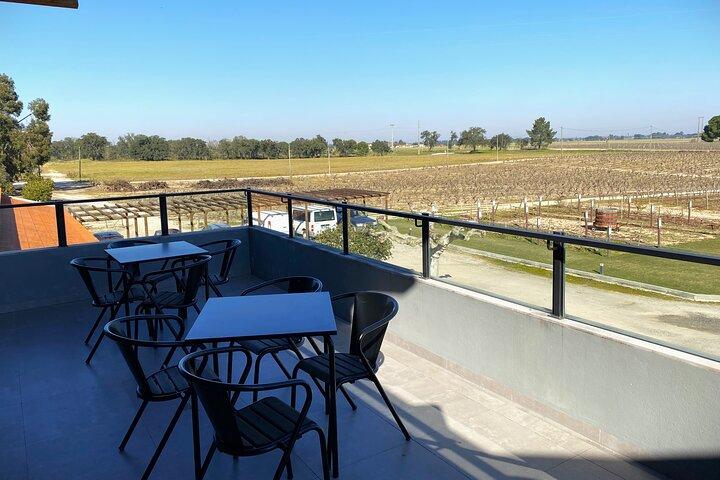 Lisbon Southern Region (Fernão Pó) Wine Tasting Private Tour
