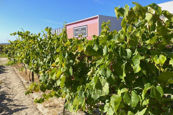 Lissabons sydlige region (Fernão Pó) Vinsmagning privat tur