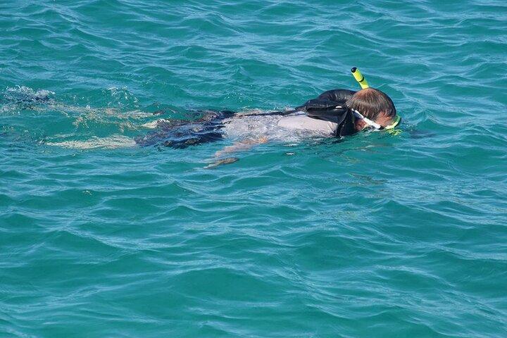 Tour privato di vela e snorkeling a Karibe