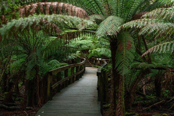 Grottes de Hastings, Tahune Airwalk et le Huon Tasting Trail