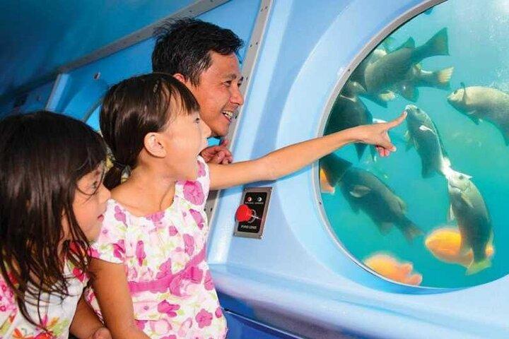 アバロン発、カタリナ島を巡る黄色い半潜水艦ツアー