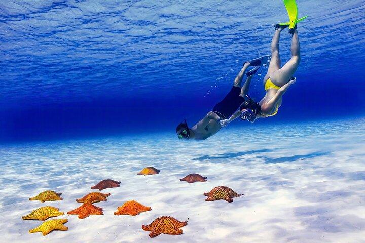 El Cielo Cozumel Schnorchel Private Tour Big Group + Essen Getränke