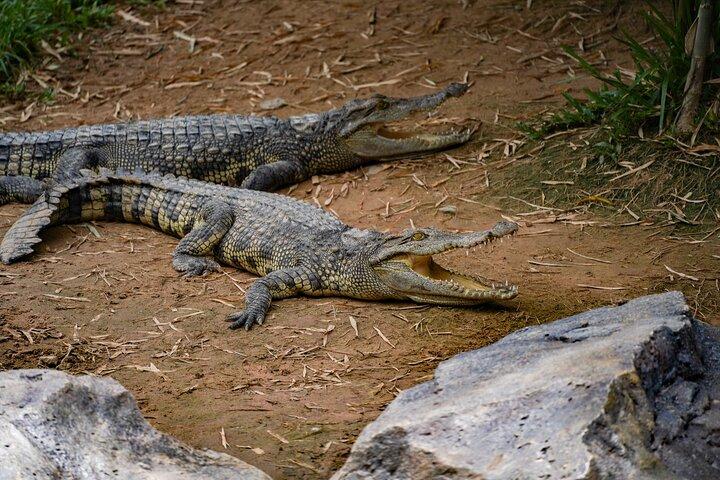 アンコール野生動物と水族館1日パス-シェムリアップ