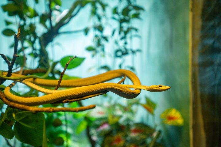 アンコール野生動物と水族館1日パス-シェムリアップ