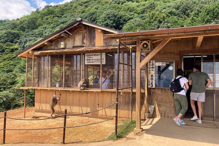 West Kyoto & Arashiyama: In-Depth 1-Day Cultural Tour