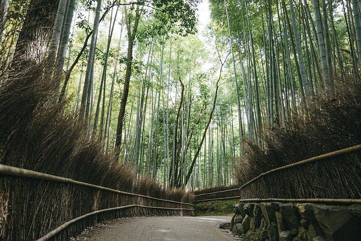 西京都＆嵐山 徹底解説1 日帰り文化ツアー