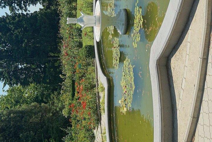 Mtirala National Park & Botanical Garden / Tour From Batumi