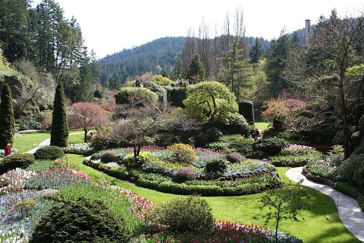 Mtirala National Park & Botanical Garden / Tour From Batumi
