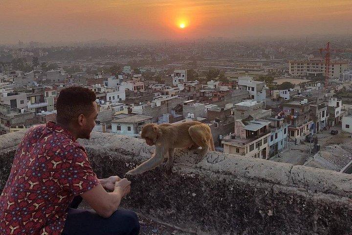 Jaipur Tour with Monkey Temple and Block Print Experience