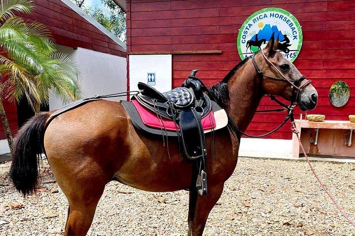 Volcano Tenorio Rio Celeste Horseback Adventures Tour Max 7 Guest