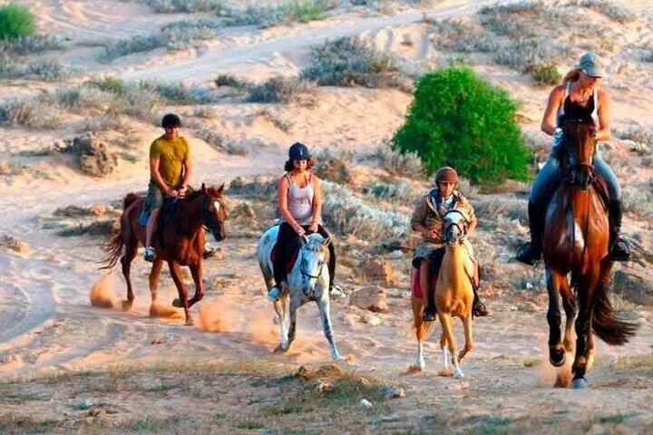 1 uur paardrijden in Agafay met diner & transfer - Marrakech