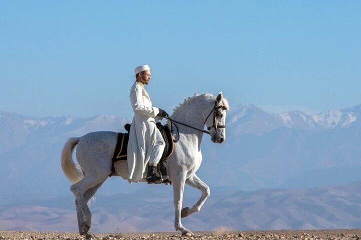 1 heure d'équitation à Agafay avec dîner et transfert - Marrakech