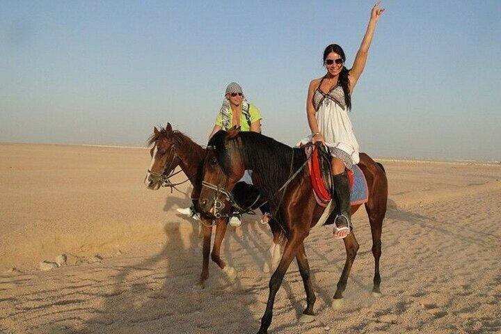 1 heure d'équitation à Agafay avec dîner et transfert - Marrakech
