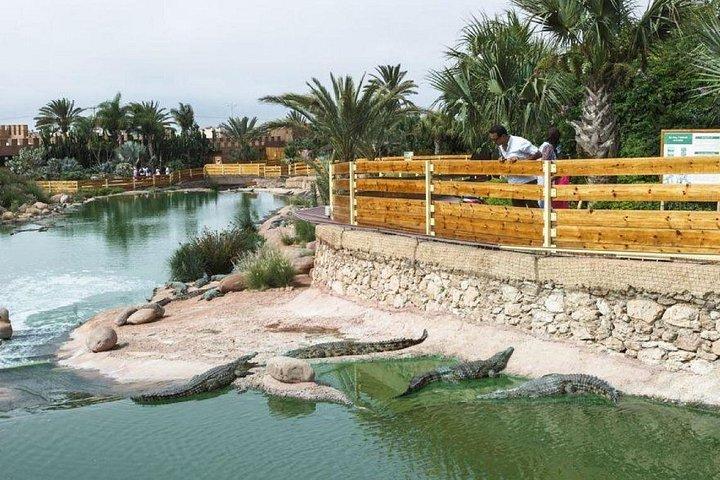Crocoparc Trip from Agadir