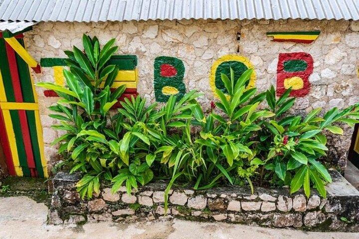 NineMile Tour: Journey to Bob Marley’s Birthplace & Resting Place