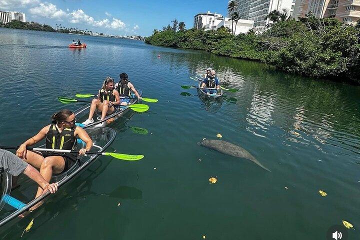 Excursion en kayak dans le lagon de Condado