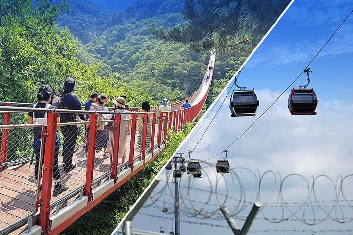 DMZ Guided tour from Seoul with Suspension Bridge or Gondola