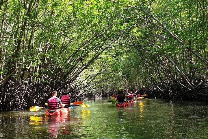 Visite des mangroves en kayak à Ko Lanta avec déjeuner