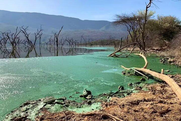 ナイロビ発ボゴリア湖へのプライベート日帰りツアー