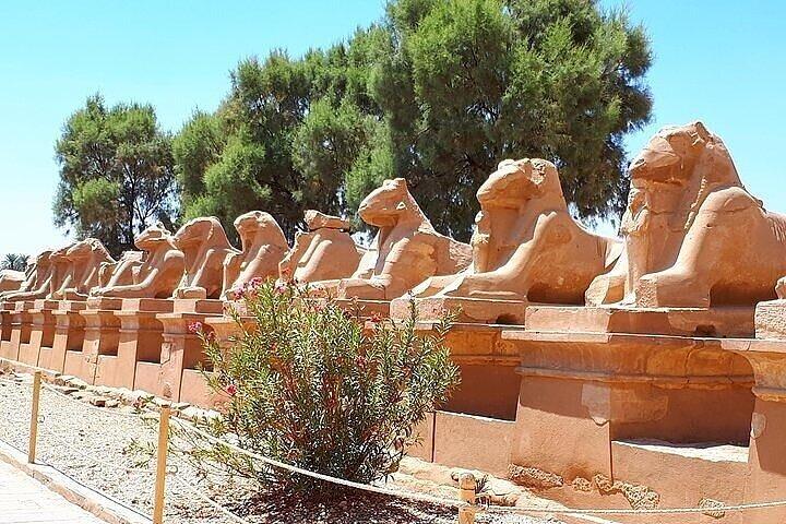 Tour di un giorno della riva orientale a Luxor Karnak e Templi di Luxor