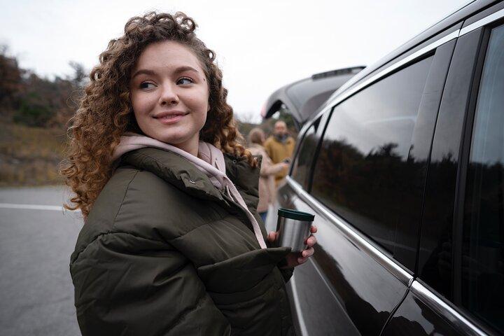 Dublin: Private Tour mit Chauffeur