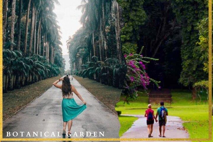 Passeio turístico pela cidade histórica de Kandy saindo de Colombo|Negombo|Kandy