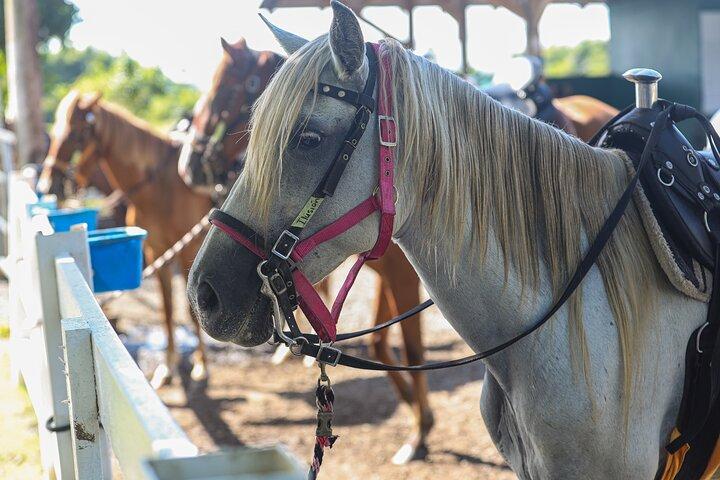 Escursione a cavallo in un ranch privato