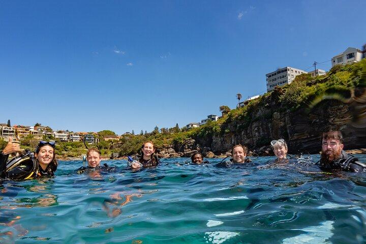 Experiencia guiada de snorkel en Bondi