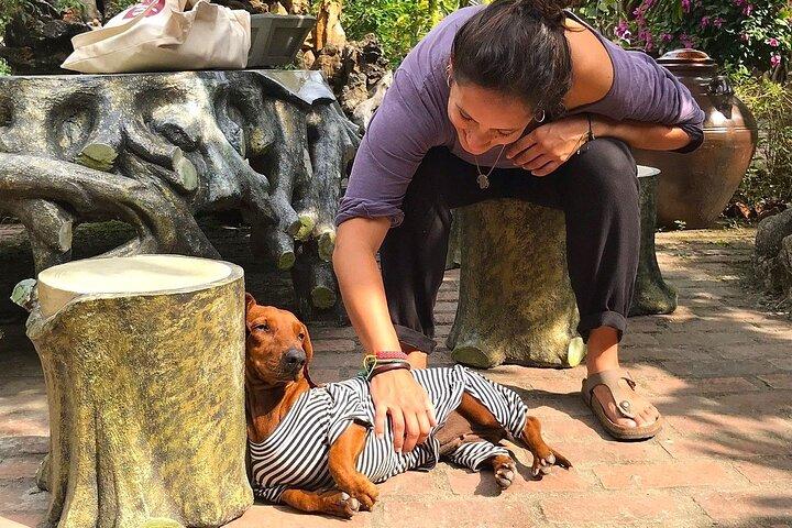 ハノイ：2日間のカットバ国立公園、ランハー湾、ボートツアーの探索