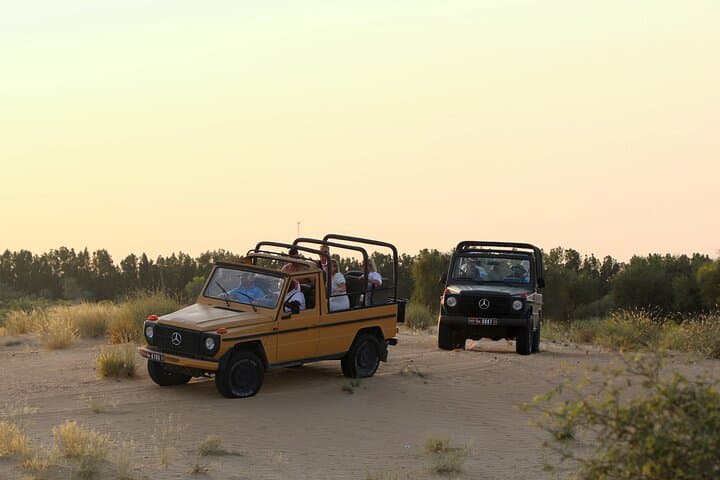 Dubai: Morning Safari by Vintage G Class & Al Marmoom Experience