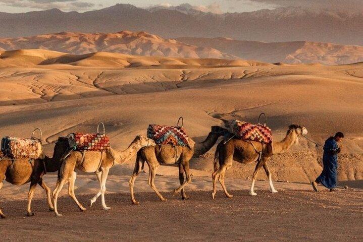 Marrakech: Quad & Camel Ride med solnedgang, middag og show