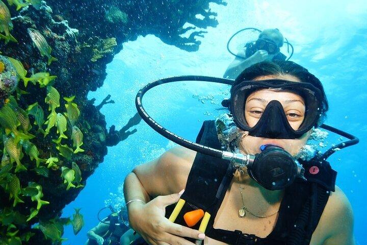 Dois mergulhos e aula para mergulhadores iniciantes em Cancún