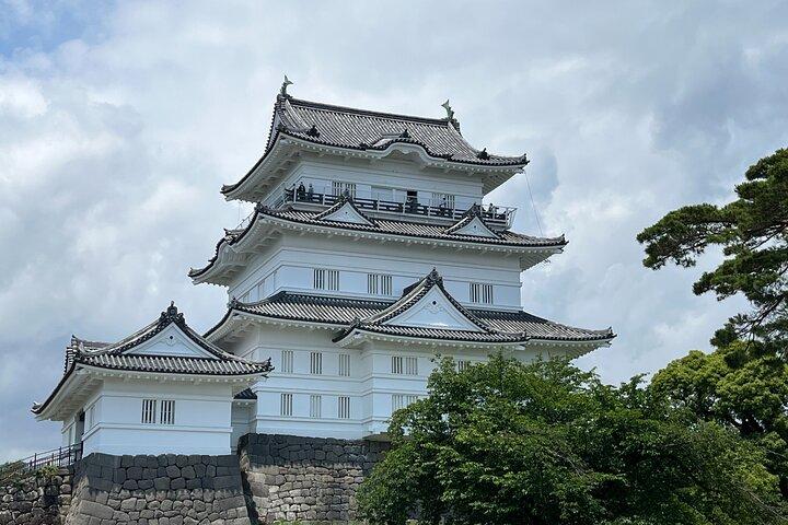 新幹線で巡る小田原城観光ツアー
