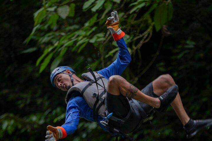 Rainforest Falls Waterfall Adventure di Pure Trek
