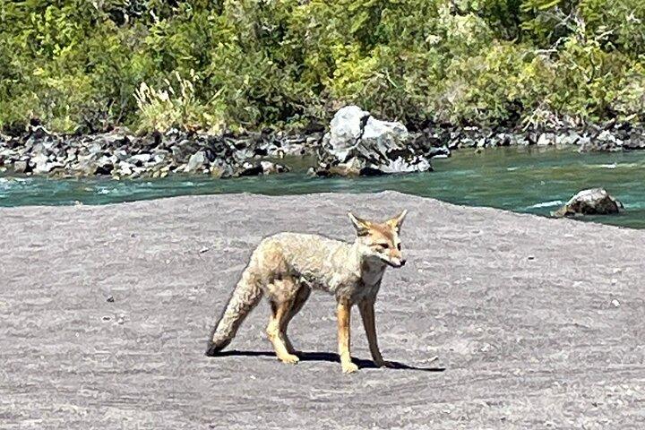 Osorno Volcano & National Park for Cruisers - PRIVATE